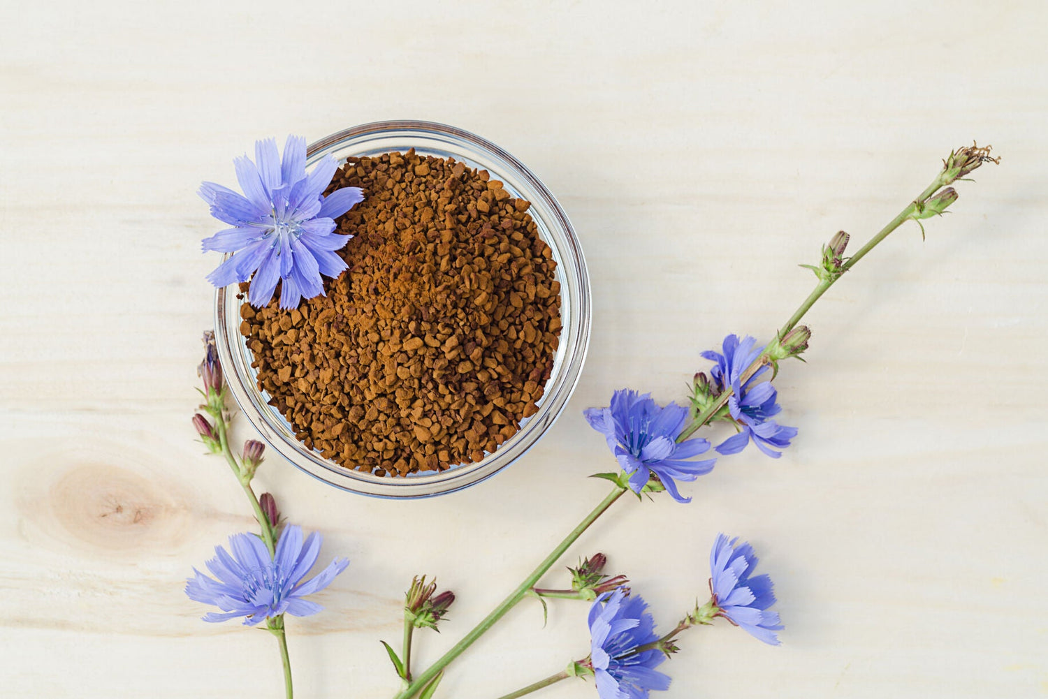 Il caffè di cicoria fa dimagrire?