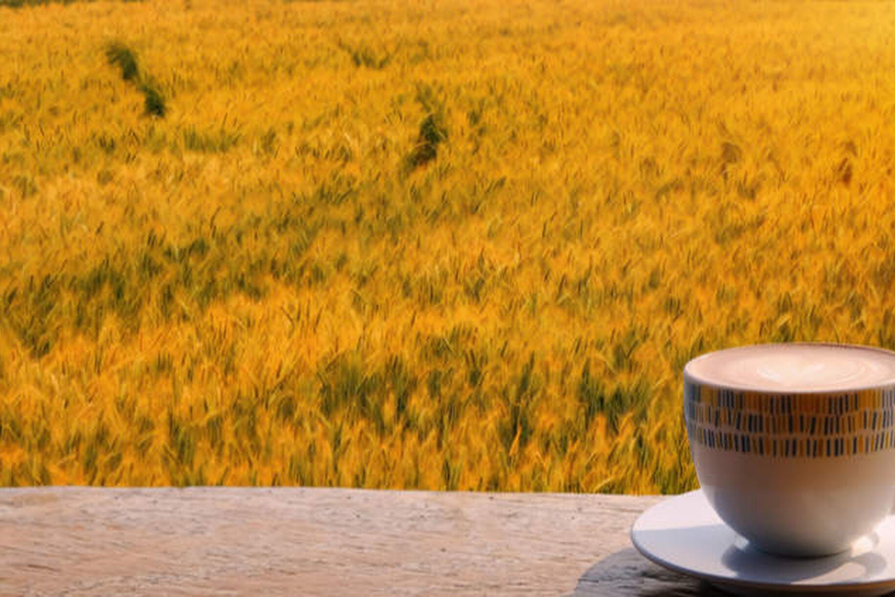 Caffè d'orzo: curiosità e preparazione