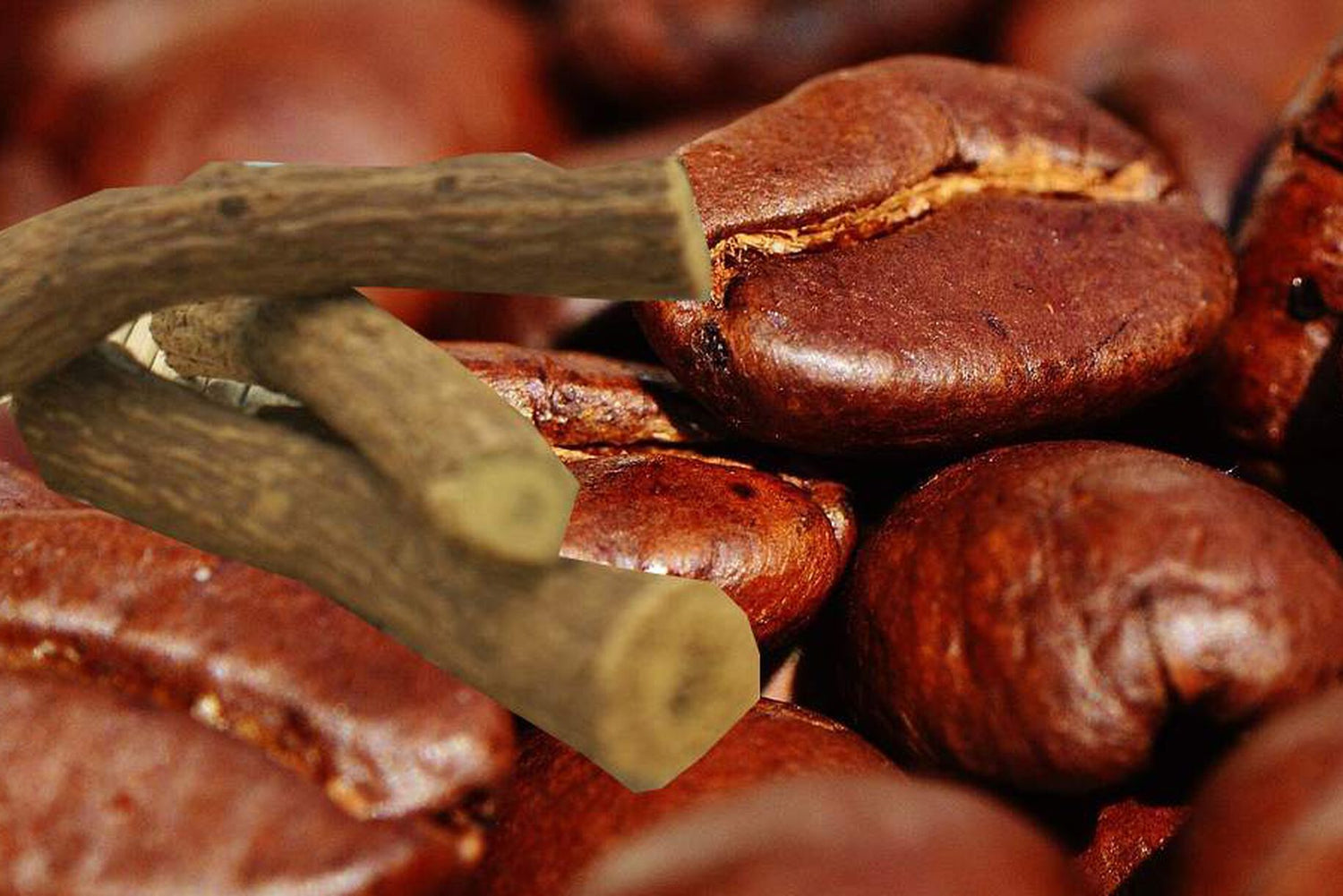 Caffè e liquirizia: un rimedio contro la pressione bassa