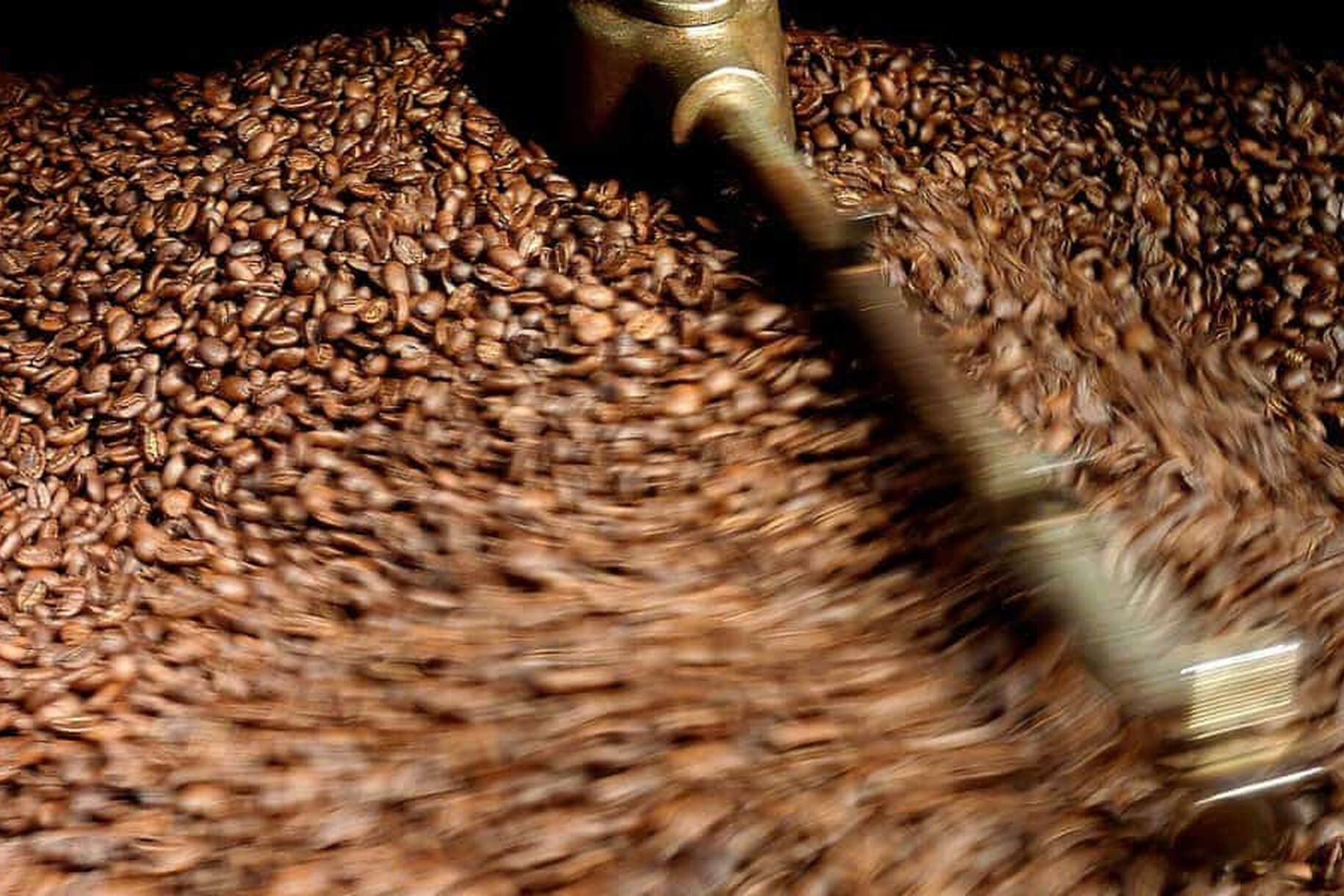 Qual è il caffè più costoso al mondo?