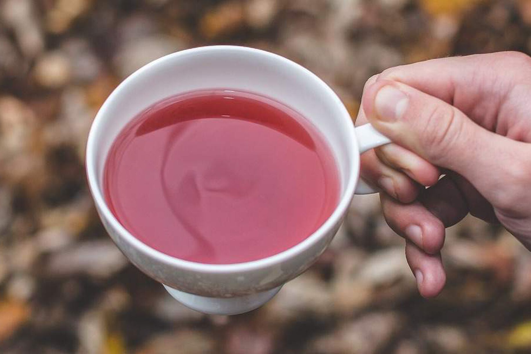 Tisana ai frutti di bosco: proprietà e benefici