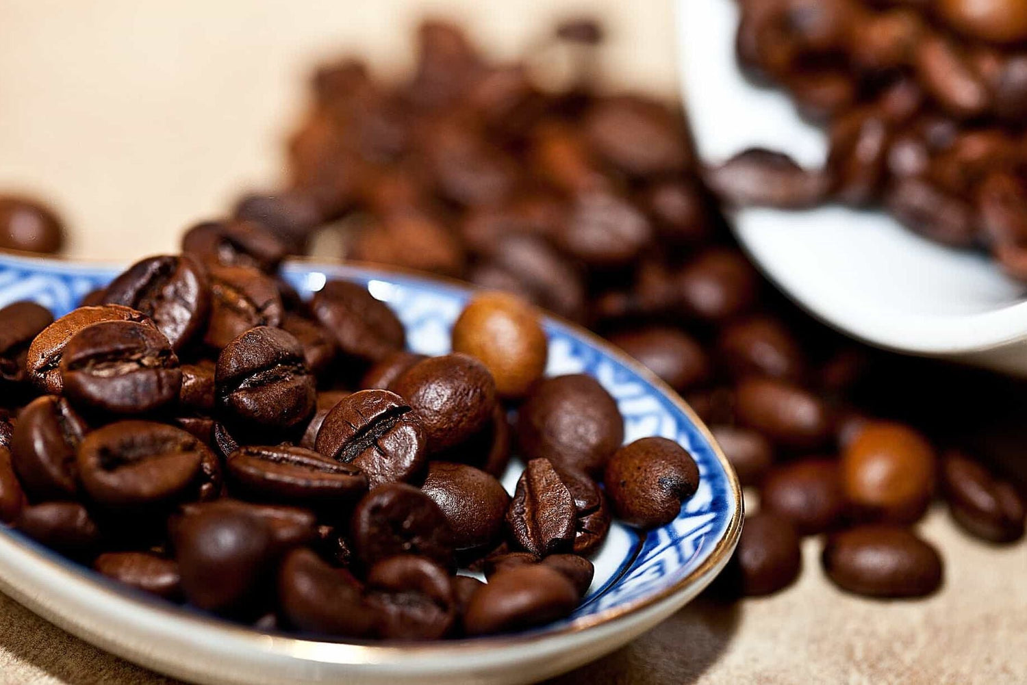Arabica o Robusta, quale scegliere?