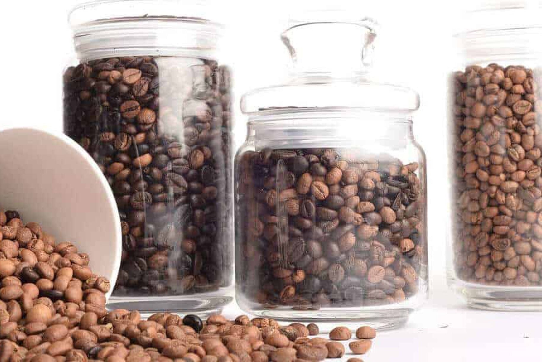 Le differenze tra miscela arabica e robusta