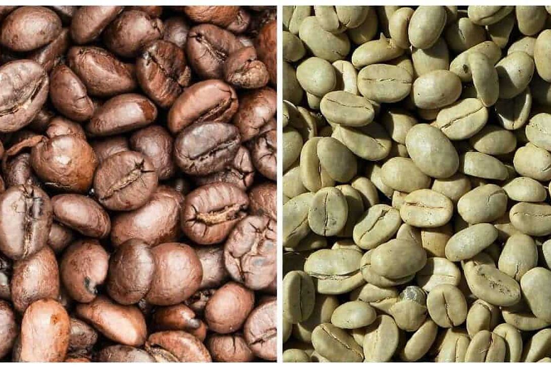 Le differenze tra il caffè verde e il caffè nero - Caffè Borbone